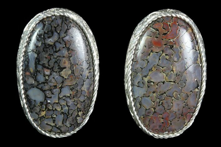 Agatized Dinosaur Bone (Gembone) Earrings - Sterling Silver #86544